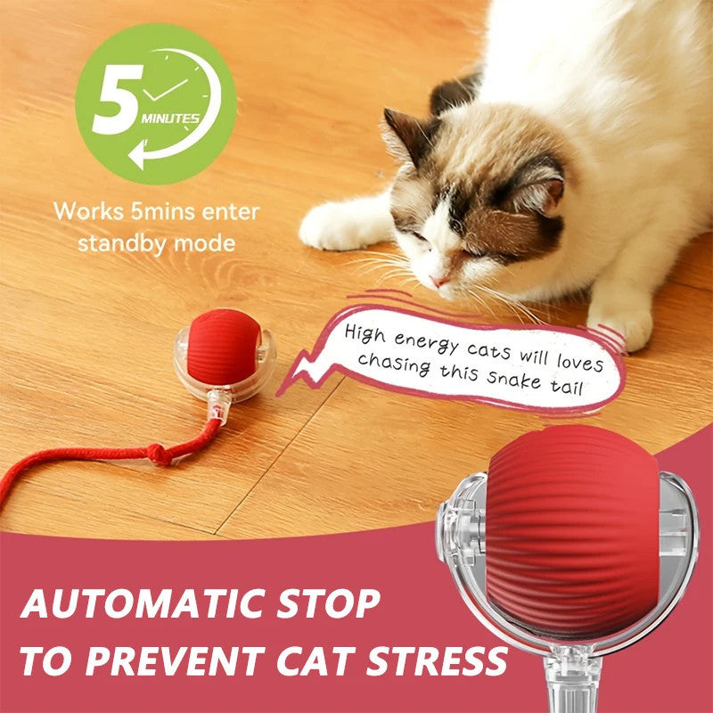 Double the playtime and happy zoomies—your bonus cat balls are FREE! 🐾🎁