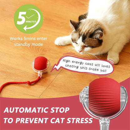 Double the playtime and happy zoomies—your bonus cat balls are FREE! 🐾🎁