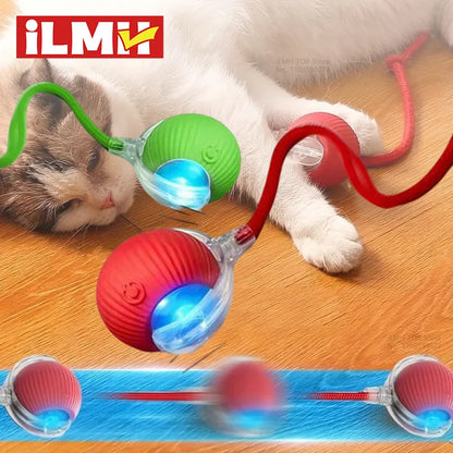 Double the playtime and happy zoomies—your bonus cat balls are FREE! 🐾🎁