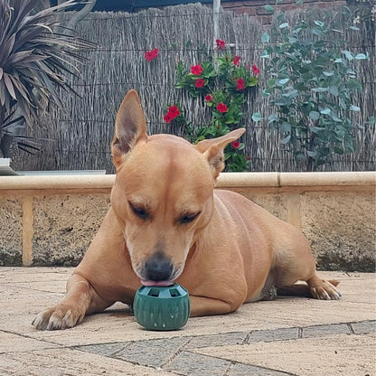 🐾 The United States ranked first Dog Enrichment Solution!