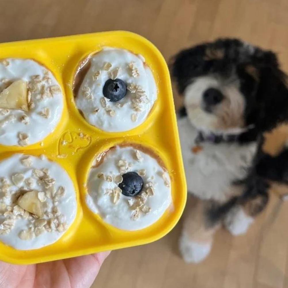 🐾 The United States ranked first Dog Enrichment Solution!