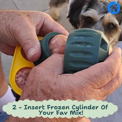 🐾 The United States ranked first Dog Enrichment Solution!