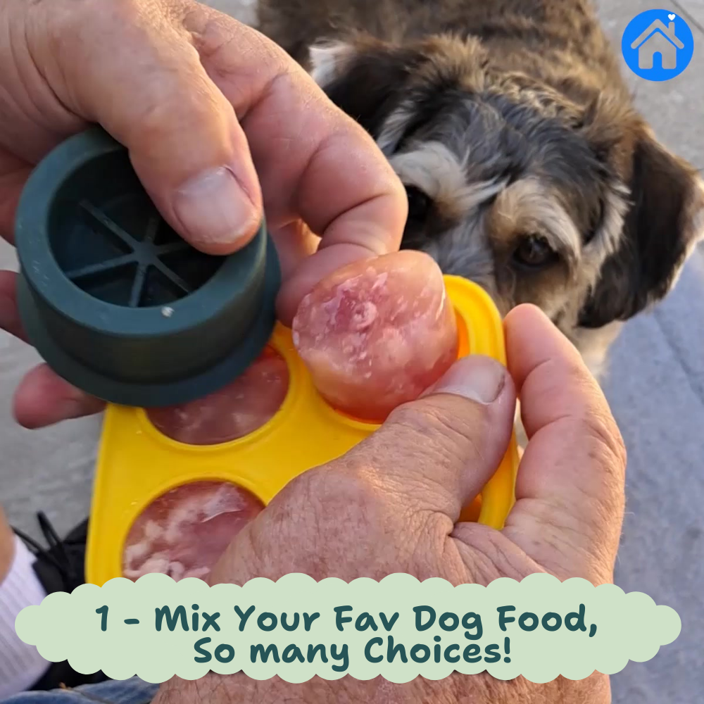 🐾 The United States ranked first Dog Enrichment Solution!