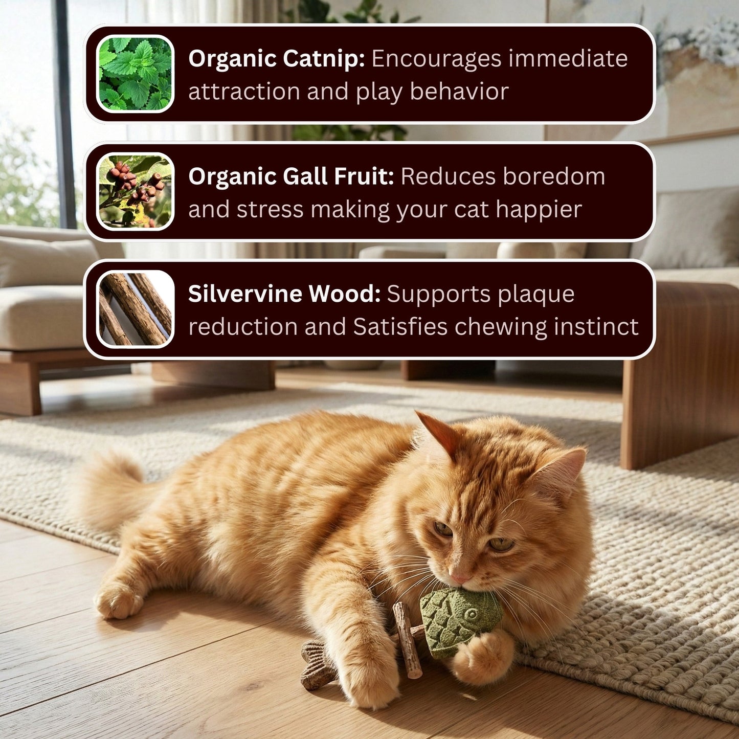 😾 Bored, restless, or chewing everything in sight? Give them a natural way to play, chew, and stay engaged. 🌿🐾