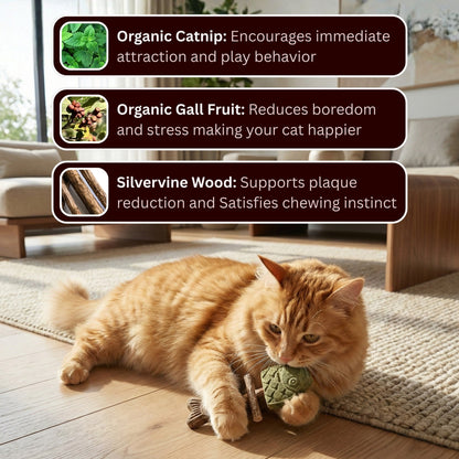😾 Bored, restless, or chewing everything in sight? Give them a natural way to play, chew, and stay engaged. 🌿🐾
