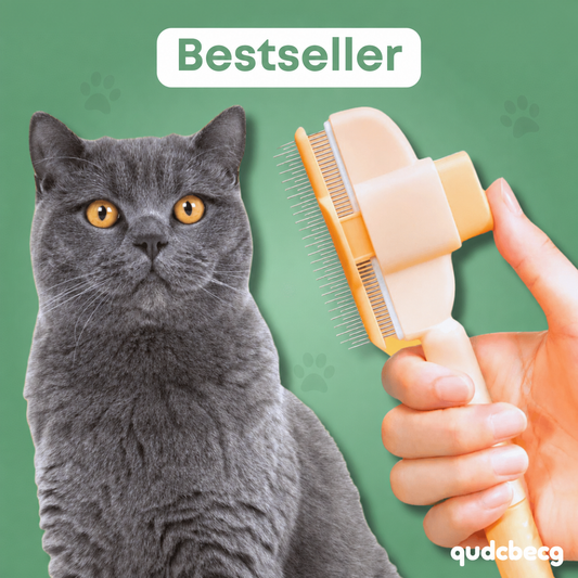Cat Hair Brush | Buy 1 Get 1 Free, Buy 2 Get 2 Free, More Buy More Free