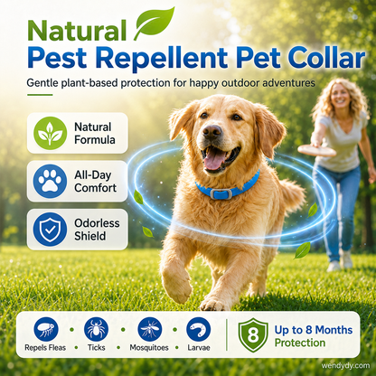 🔥 Buy More, Get More Free · Free Shipping 🚚