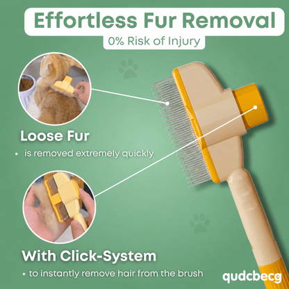 Cat Hair Brush | Buy 1 Get 1 Free, Buy 2 Get 2 Free, More Buy More Free
