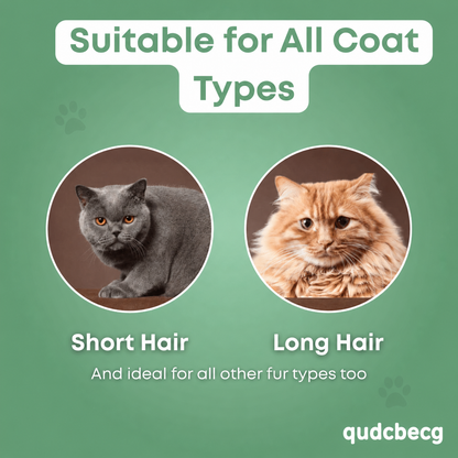 Cat Hair Brush | Buy 1 Get 1 Free, Buy 2 Get 2 Free, More Buy More Free