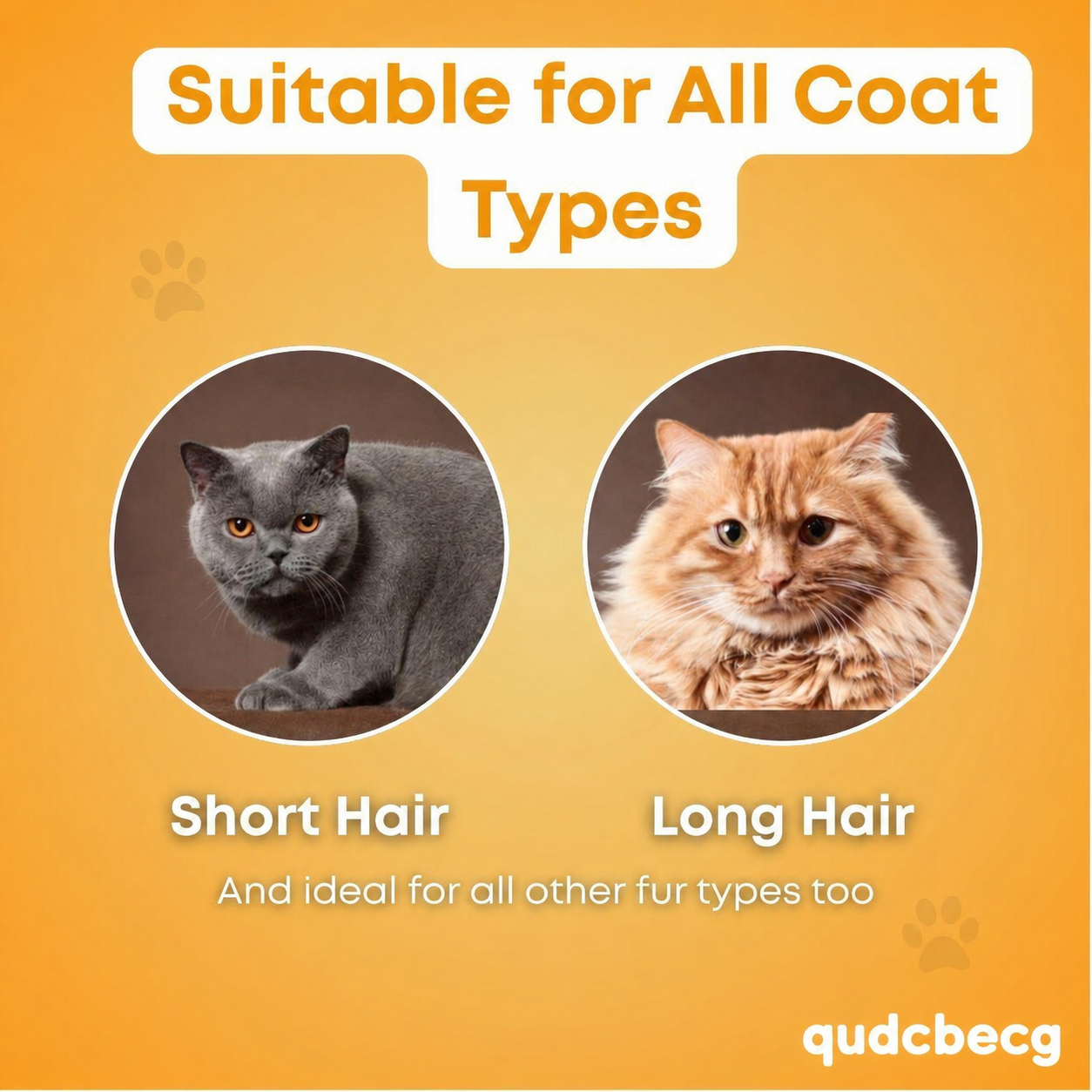 Cat Hair Brush | Buy 1 Get 1 Free, Buy 2 Get 2 Free, More Buy More Free