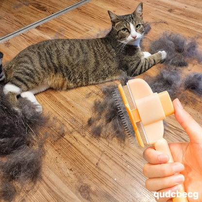 Cat Hair Brush | Buy 1 Get 1 Free, Buy 2 Get 2 Free, More Buy More Free
