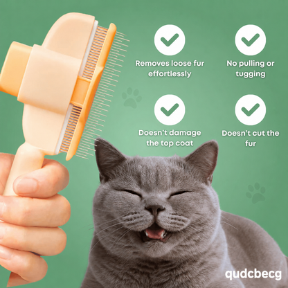 Cat Hair Brush | Buy 1 Get 1 Free, Buy 2 Get 2 Free, More Buy More Free