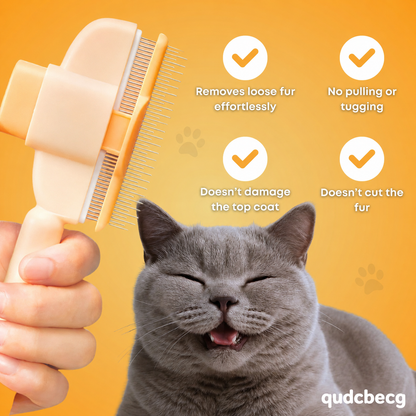 Cat Hair Brush | Buy 1 Get 1 Free, Buy 2 Get 2 Free, More Buy More Free