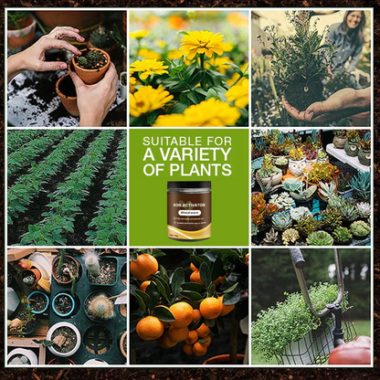 Give Your Garden Soil a Natural Boost 🪴