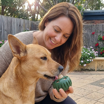 🐾 The United States ranked first Dog Enrichment Solution!