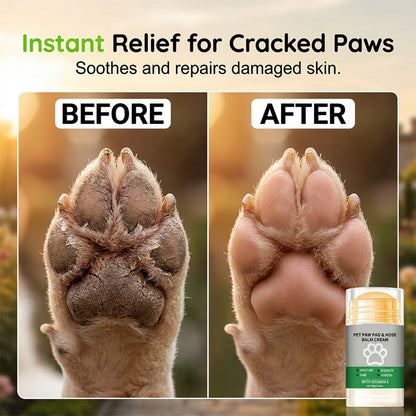 Gentle Moisture Care for Happy, Comfortable Paws 🐾