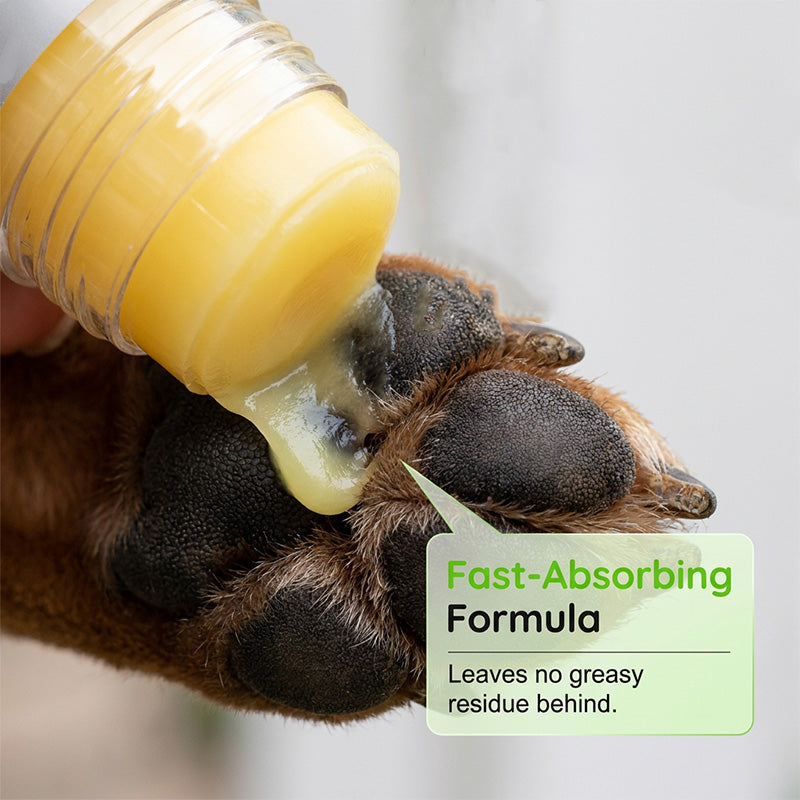 Gentle Moisture Care for Happy, Comfortable Paws 🐾