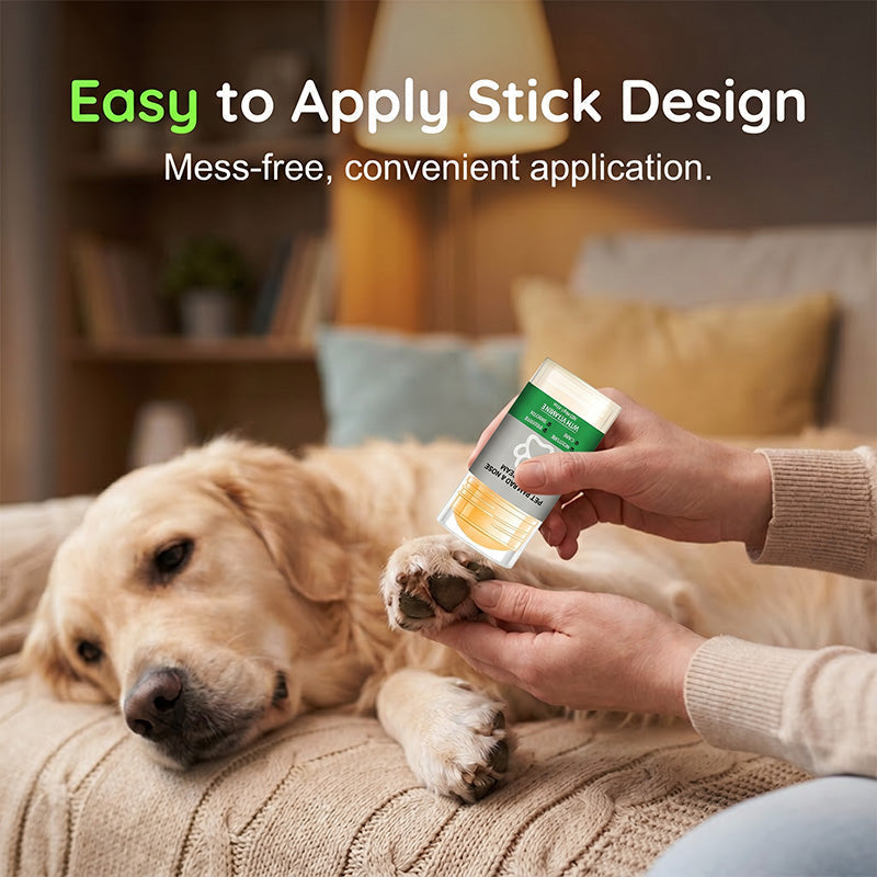 Gentle Moisture Care for Happy, Comfortable Paws 🐾