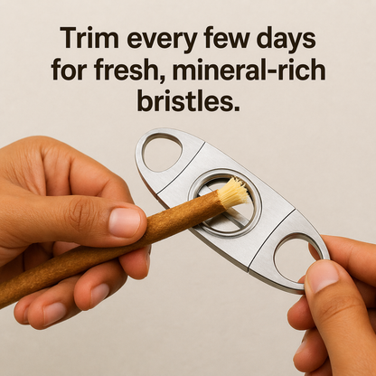 🌿 Simple, Natural Oral Care—Anywhere.